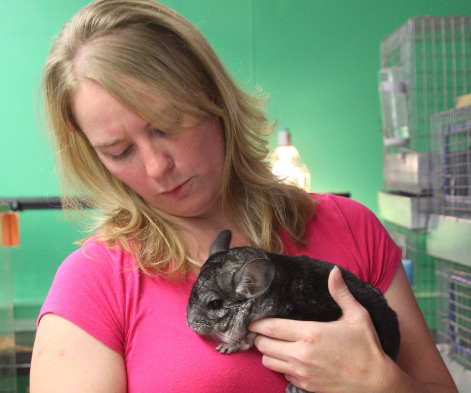 Tara hold chinchilla